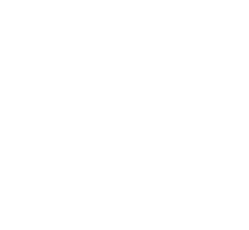 Bhola Foods